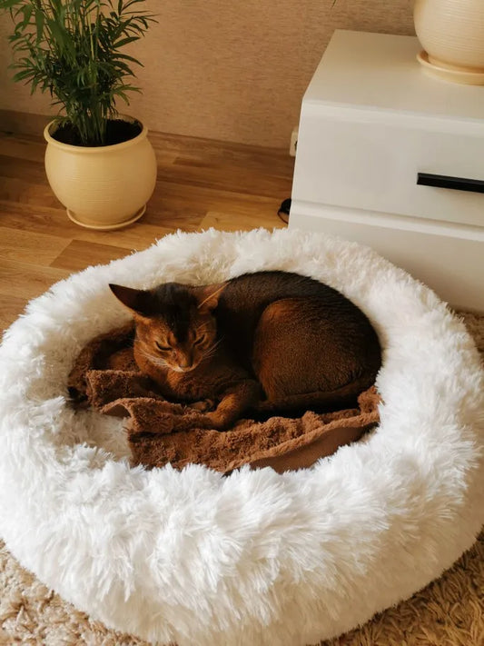 Soft Pet Bed Plush